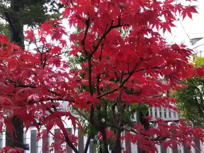 總社 和田八幡宮(福井県)
