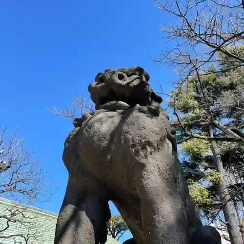 根津神社の狛犬