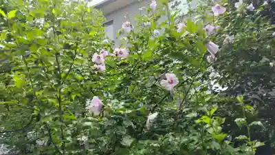 梨木神社(京都府)