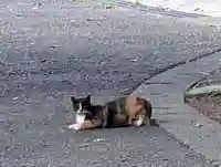 春日神社(神奈川県)