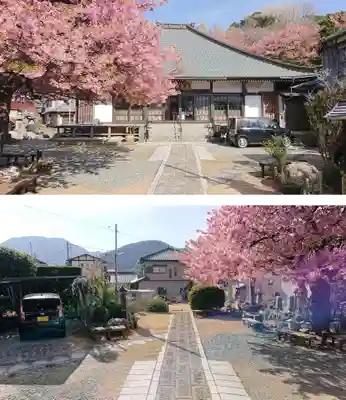 真乗寺の本殿・本堂