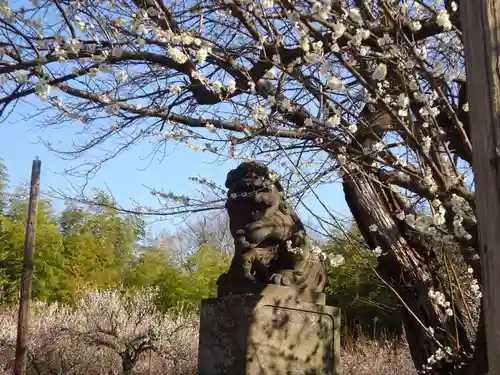 天満宮の狛犬