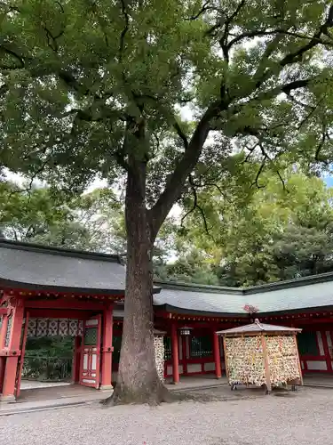 武蔵一宮氷川神社(埼玉県)