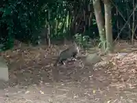 御霊大権現の動物