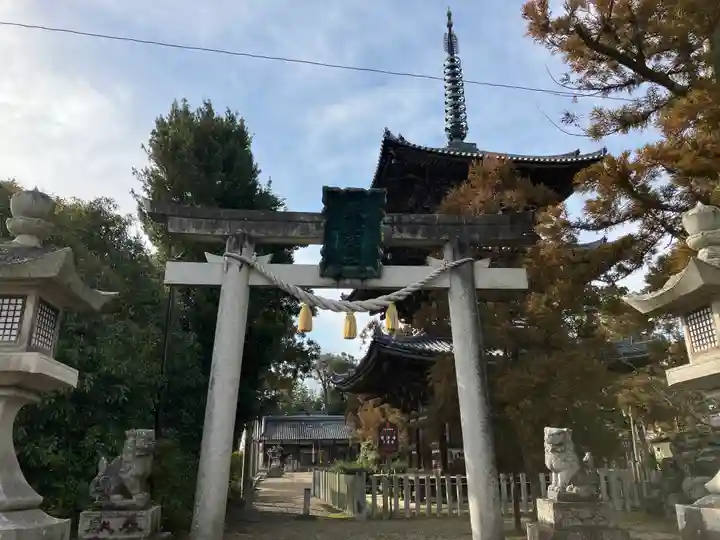 春日若宮神社(奈良県)