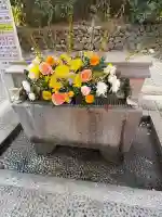 砥鹿神社(奥宮)の{uncategorized: "未分類", other: "その他", undefined: "問題あり", building: "その他建物", grave: "お墓", sacred_gate: "鳥居", guardian: "狛犬", statue: "像", buddha: "仏像", history: "歴史", nature: "自然", garden: "庭園", animal: "動物", pagoda: "塔", temizu: "手水舎", mountain_gate: "山門・神門", sanctuary: "本殿・本堂", subordinate: "末社・摂社", art: "芸術", scenery: "景色", jizo: "地蔵", ema: "絵馬", goshuin: "御朱印", omikuji: "おみくじ", items: "授与品その他", amulet: "お守り", goshuincho: "御朱印帳", eats: "食事", festival: "お祭り", votive_dance: "神楽", shichigosan: "七五三参", wedding: "結婚式", experience: "体験その他", initially: "初詣", around: "周辺", anti_infection: "感染症対策"}