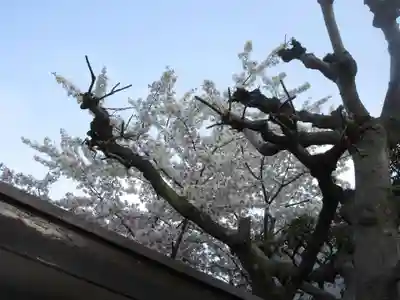 白鬚神社(東京都)