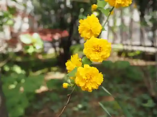下神明天祖神社の自然