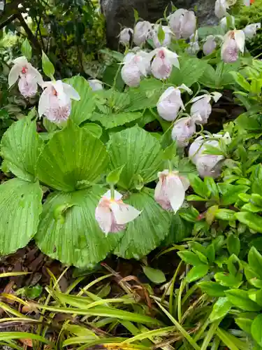 神祇遥拝殿の自然