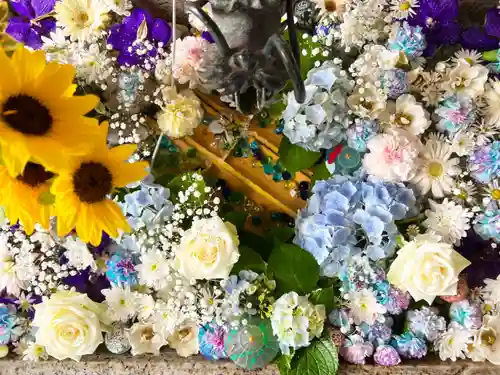 札幌諏訪神社の手水舎