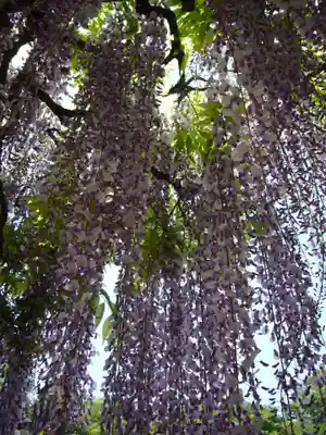 玉敷神社(埼玉県)