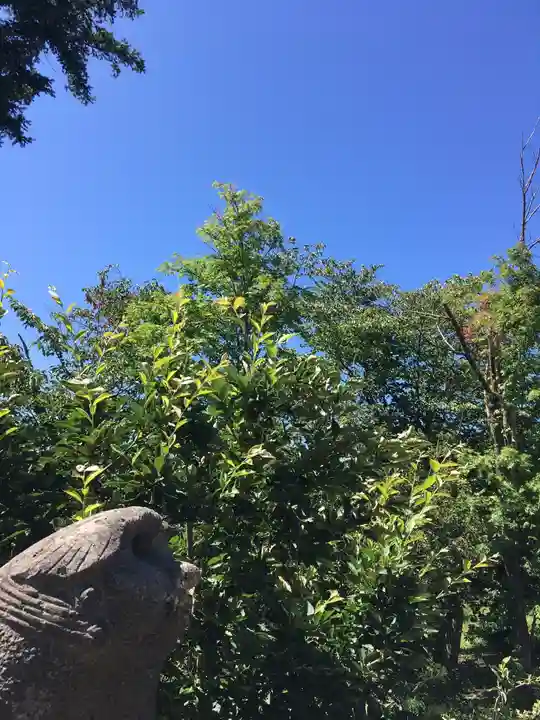 江部乙神社(北海道)