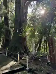 白山比咩神社(石川県)