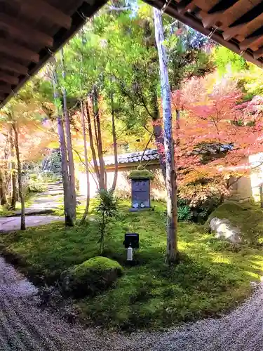 高野寺(佐賀県)