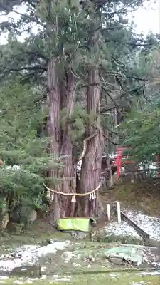 導観稲荷神社(京都府)
