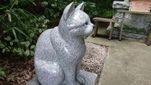 座間神社の狛犬