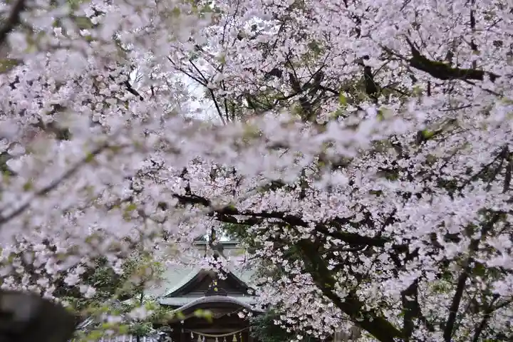 岩槻久伊豆神社(埼玉県)
