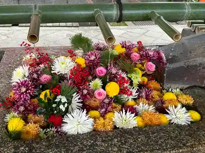 八坂神社(祇園さん)(京都府)