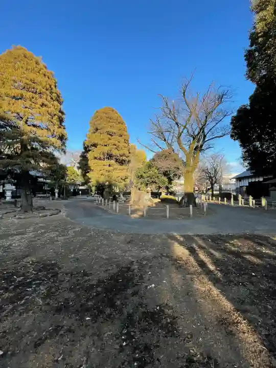 南蔵院(東京都)