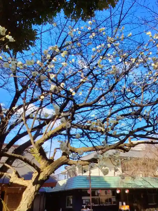 新井天神北野神社(東京都)
