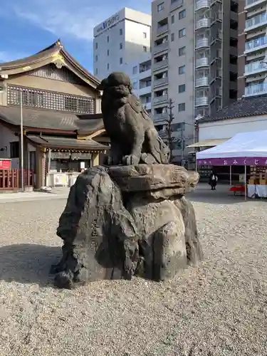 浅草神社の狛犬