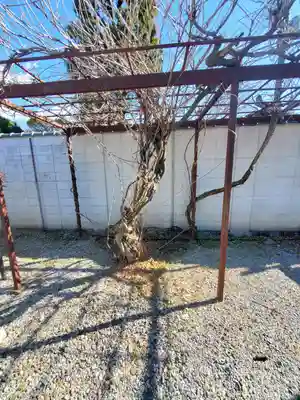 逆藤天満宮(栃木県)