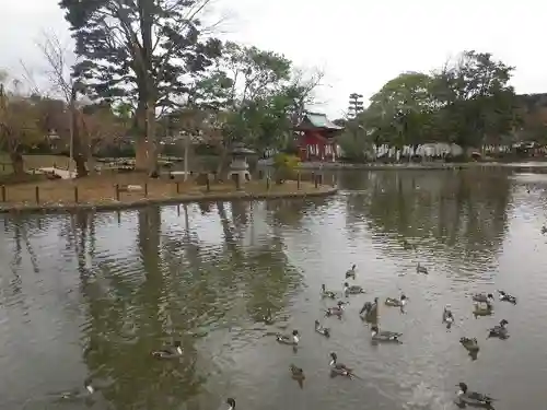 鶴岡八幡宮の庭園