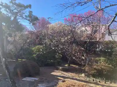 薬師院(神奈川県)