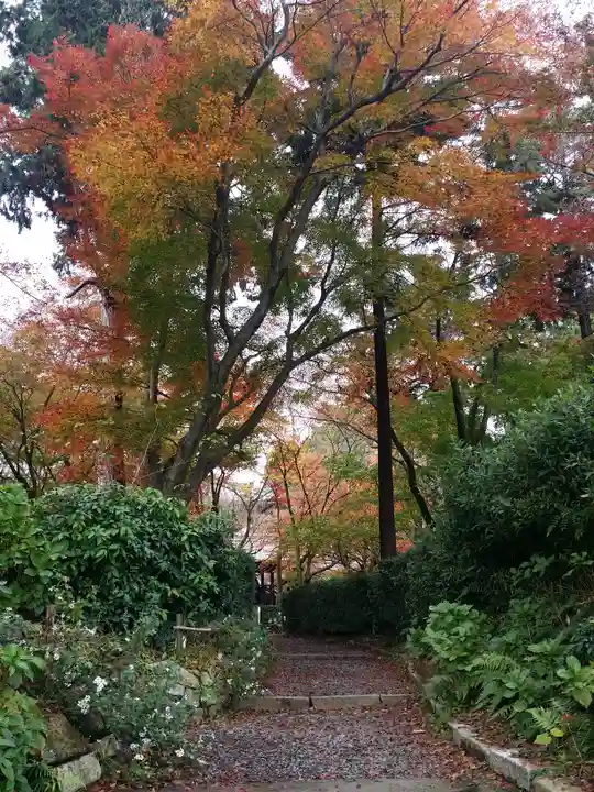 真正極楽寺(真如堂)の庭園