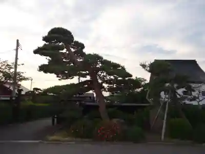 真教寺(青森県)