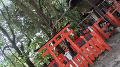 賀茂御祖神社（下鴨神社）(京都府)
