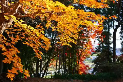 田村神社の自然