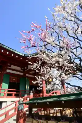 亀戸天神社のその他建物