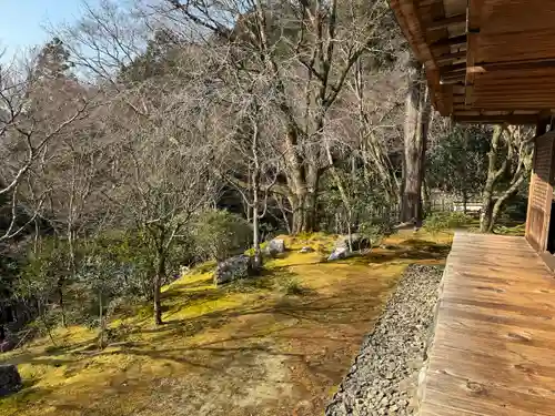高山寺(京都府)