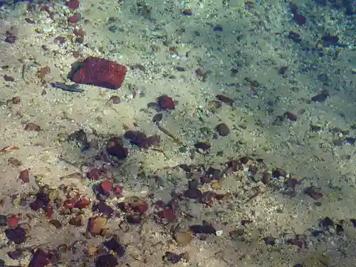 嚴島神社(山口県)