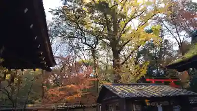 河合神社（鴨川合坐小社宅神社）のその他建物
