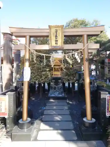亀ケ池八幡宮(神奈川県)
