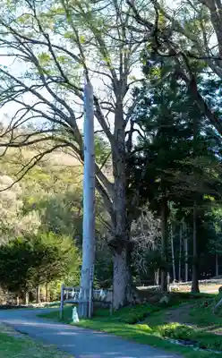 諏訪大社上社前宮(長野県)