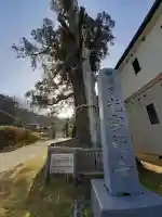 光雲寺の{uncategorized: "未分類", other: "その他", undefined: "問題あり", building: "その他建物", grave: "お墓", sacred_gate: "鳥居", guardian: "狛犬", statue: "像", buddha: "仏像", history: "歴史", nature: "自然", garden: "庭園", animal: "動物", pagoda: "塔", temizu: "手水舎", mountain_gate: "山門・神門", sanctuary: "本殿・本堂", subordinate: "末社・摂社", art: "芸術", scenery: "景色", jizo: "地蔵", ema: "絵馬", goshuin: "御朱印", omikuji: "おみくじ", items: "授与品その他", amulet: "お守り", goshuincho: "御朱印帳", eats: "食事", festival: "お祭り", votive_dance: "神楽", shichigosan: "七五三参", wedding: "結婚式", experience: "体験その他", initially: "初詣", around: "周辺", anti_infection: "感染症対策"}