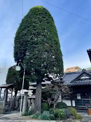 成就院(上寺)(埼玉県)