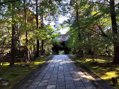 竹林寺(高知県)