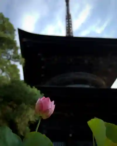 楽法寺（雨引観音）(茨城県)