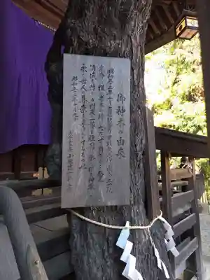 子之神社(神奈川県)