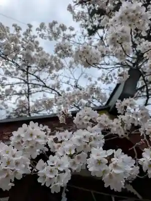 正一位 若草稲荷神社の{uncategorized: "未分類", other: "その他", undefined: "問題あり", building: "その他建物", grave: "お墓", sacred_gate: "鳥居", guardian: "狛犬", statue: "像", buddha: "仏像", history: "歴史", nature: "自然", garden: "庭園", animal: "動物", pagoda: "塔", temizu: "手水舎", mountain_gate: "山門・神門", sanctuary: "本殿・本堂", subordinate: "末社・摂社", art: "芸術", scenery: "景色", jizo: "地蔵", ema: "絵馬", goshuin: "御朱印", omikuji: "おみくじ", items: "授与品その他", amulet: "お守り", goshuincho: "御朱印帳", eats: "食事", festival: "お祭り", votive_dance: "神楽", shichigosan: "七五三参", wedding: "結婚式", experience: "体験その他", initially: "初詣", around: "周辺", anti_infection: "感染症対策"}