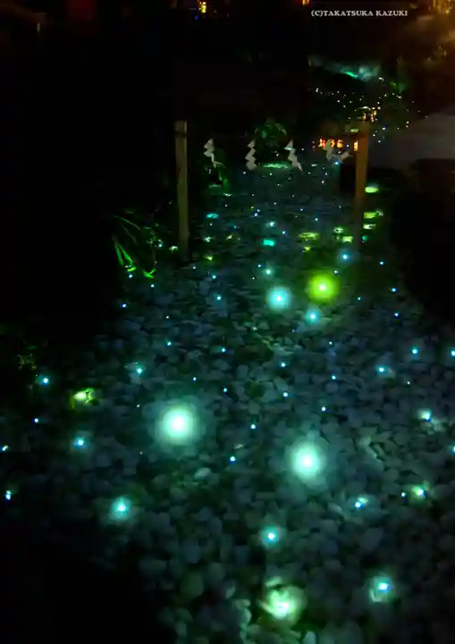 川越氷川神社(埼玉県)