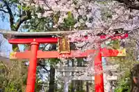 馬橋稲荷神社(東京都)