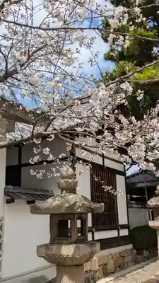御香宮神社(京都府)