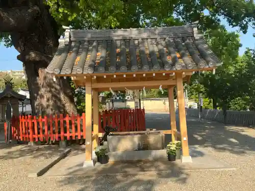 百舌鳥八幡宮の{uncategorized: "未分類", other: "その他", undefined: "問題あり", building: "その他建物", grave: "お墓", sacred_gate: "鳥居", guardian: "狛犬", statue: "像", buddha: "仏像", history: "歴史", nature: "自然", garden: "庭園", animal: "動物", pagoda: "塔", temizu: "手水舎", mountain_gate: "山門・神門", sanctuary: "本殿・本堂", subordinate: "末社・摂社", art: "芸術", scenery: "景色", jizo: "地蔵", ema: "絵馬", goshuin: "御朱印", omikuji: "おみくじ", items: "授与品その他", amulet: "お守り", goshuincho: "御朱印帳", eats: "食事", festival: "お祭り", votive_dance: "神楽", shichigosan: "七五三参", wedding: "結婚式", experience: "体験その他", initially: "初詣", around: "周辺", anti_infection: "感染症対策"}