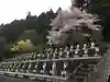 金剛城寺の自然