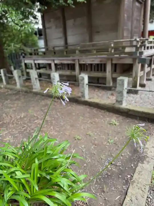 玉前神社(千葉県)